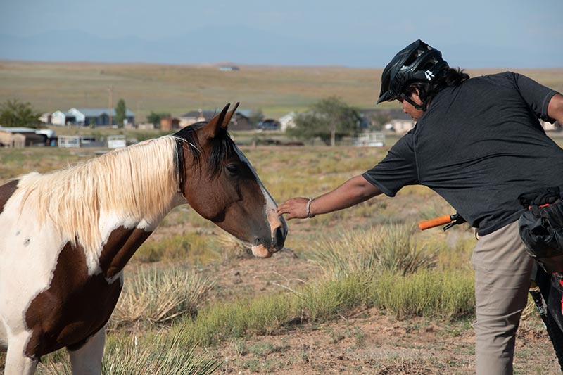 Mountain biker stopped to pet white and brown horse near side of gravel road