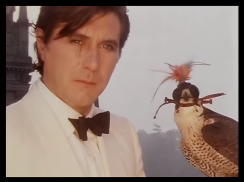 Front view of Brian Ferry, wearing a white tuxedo stares, stare forward with a falcon to his left side